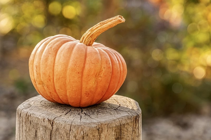 Seasonal Repurposing Projects